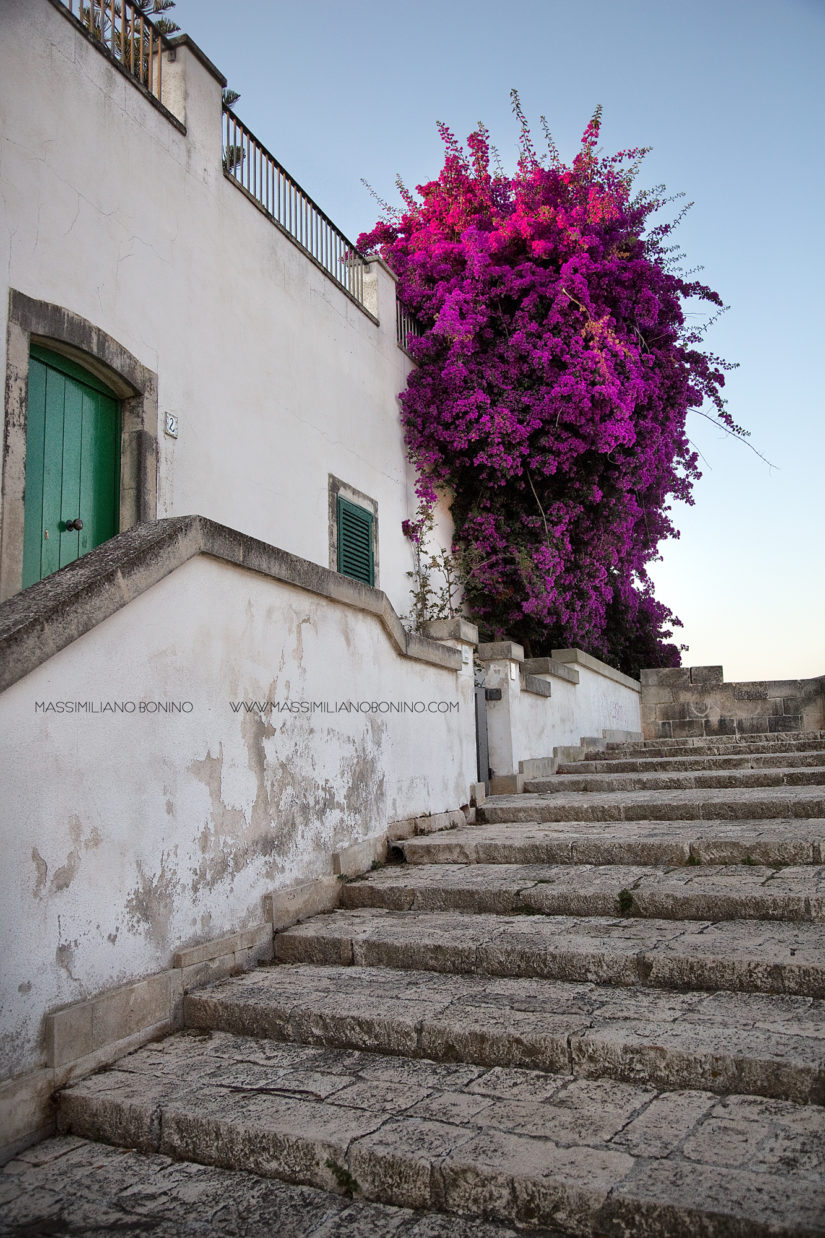 Salento e dintorni 2015