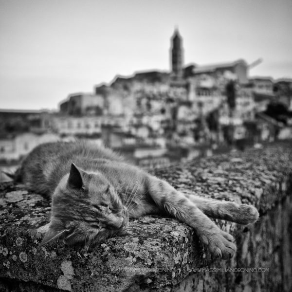 Matera - luglio 2015